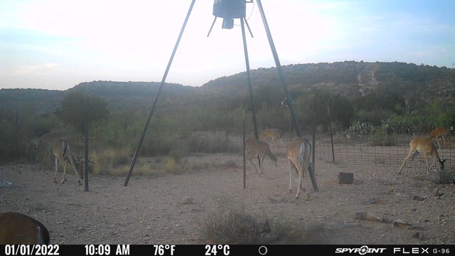 Listing Main Thumbnail #1