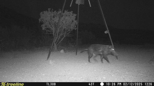 Listing Main Thumbnail #1