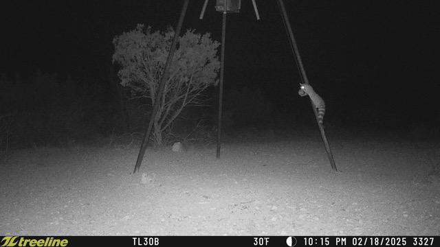 Listing Main Thumbnail #1