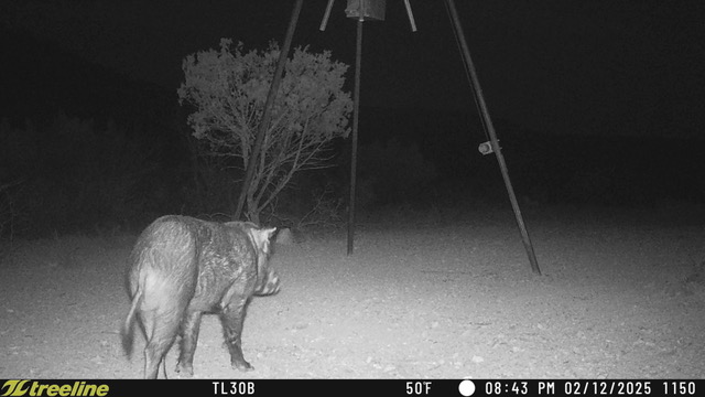 Listing Main Thumbnail #1