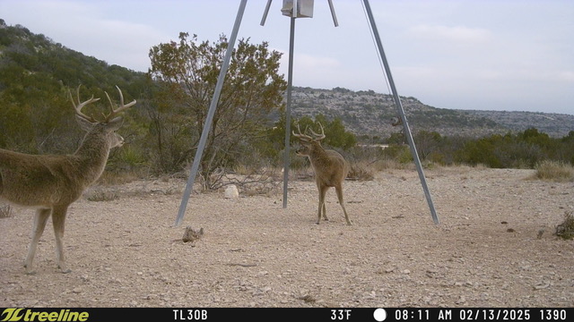 Listing Main Thumbnail #1