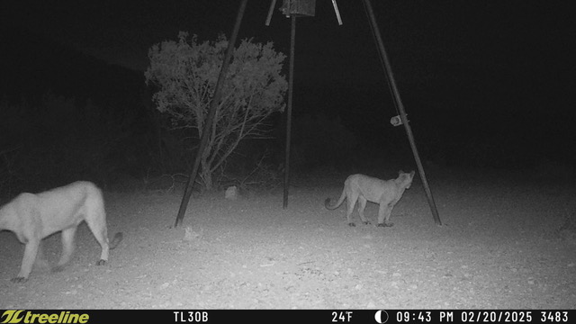 Listing Main Thumbnail #1