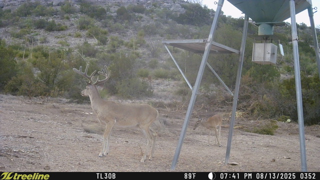 Listing Main Thumbnail #1