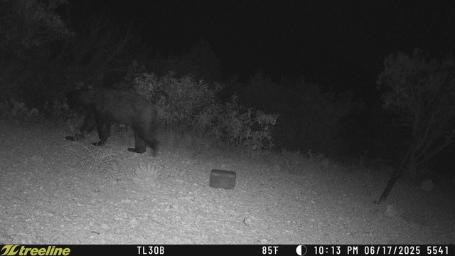 Listing Main Thumbnail #1