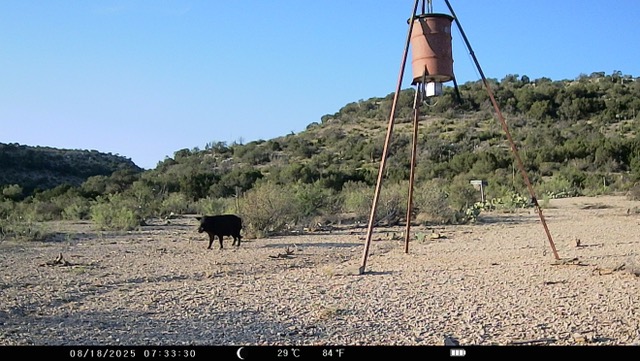 Listing Main Thumbnail #1