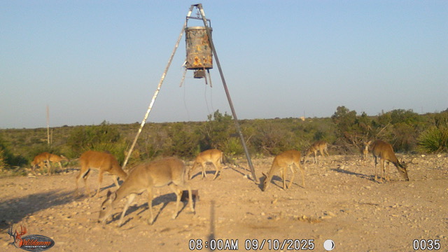 Listing Main Thumbnail #1