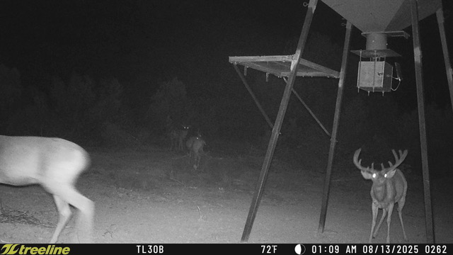 Listing Main Thumbnail #1