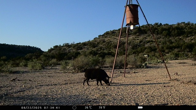 Listing Main Thumbnail #1