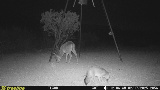 Listing Main Thumbnail #1