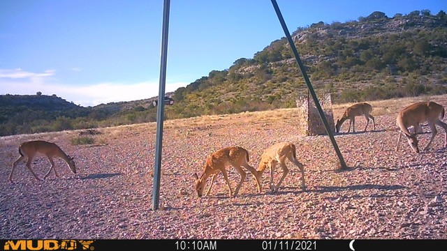 Listing Main Thumbnail #1