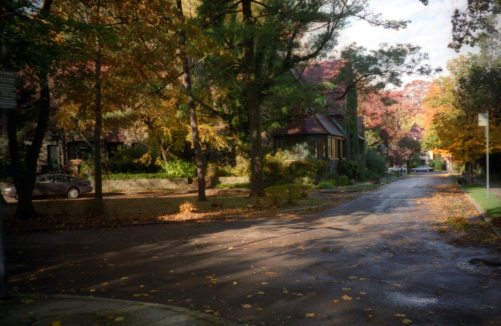 Tree-lined residential street with houses in Queens NY during autumn