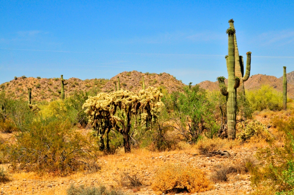 Queen Creek