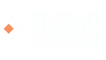 Tribus Real Estate