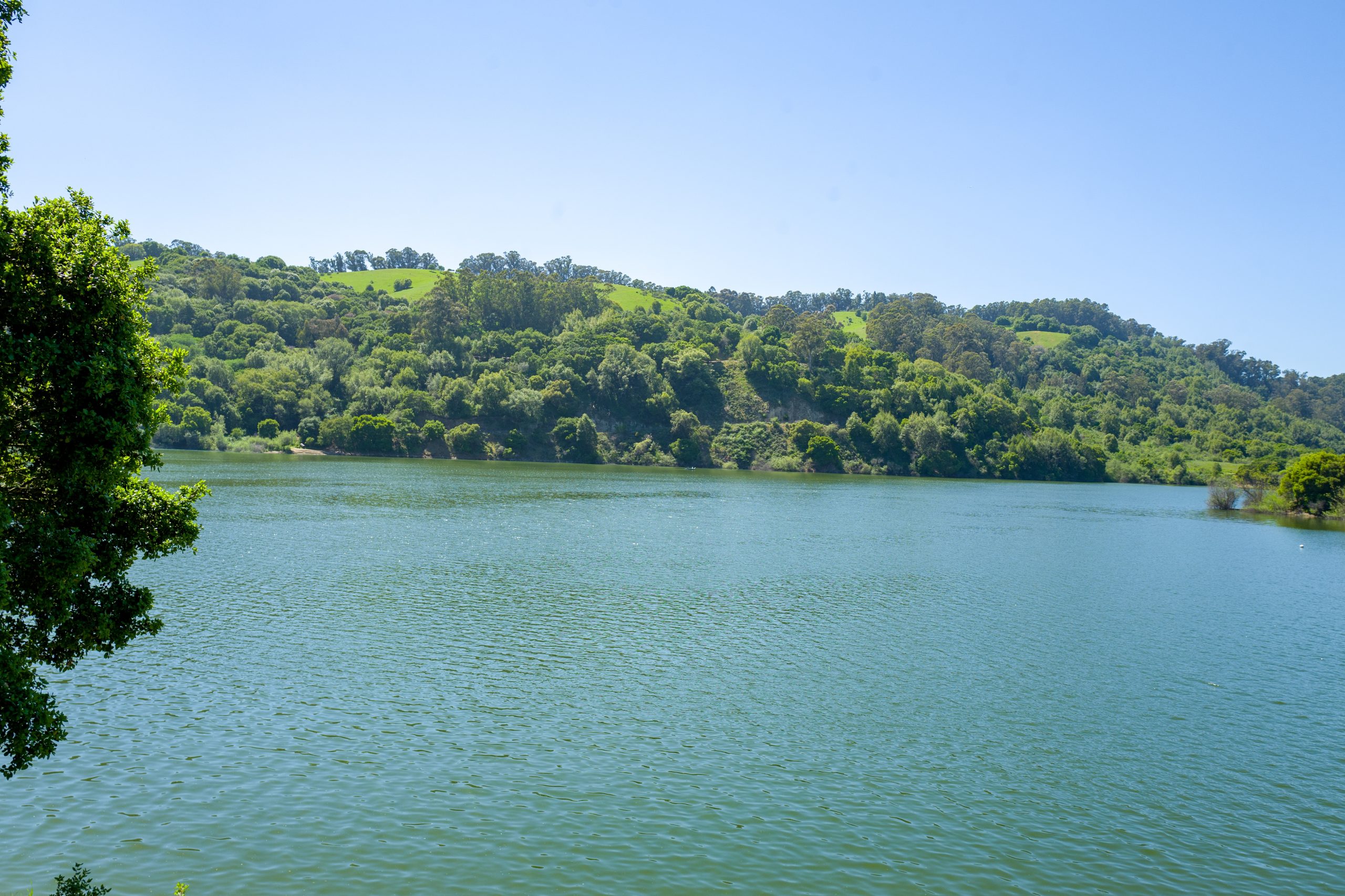 Lake Chabot