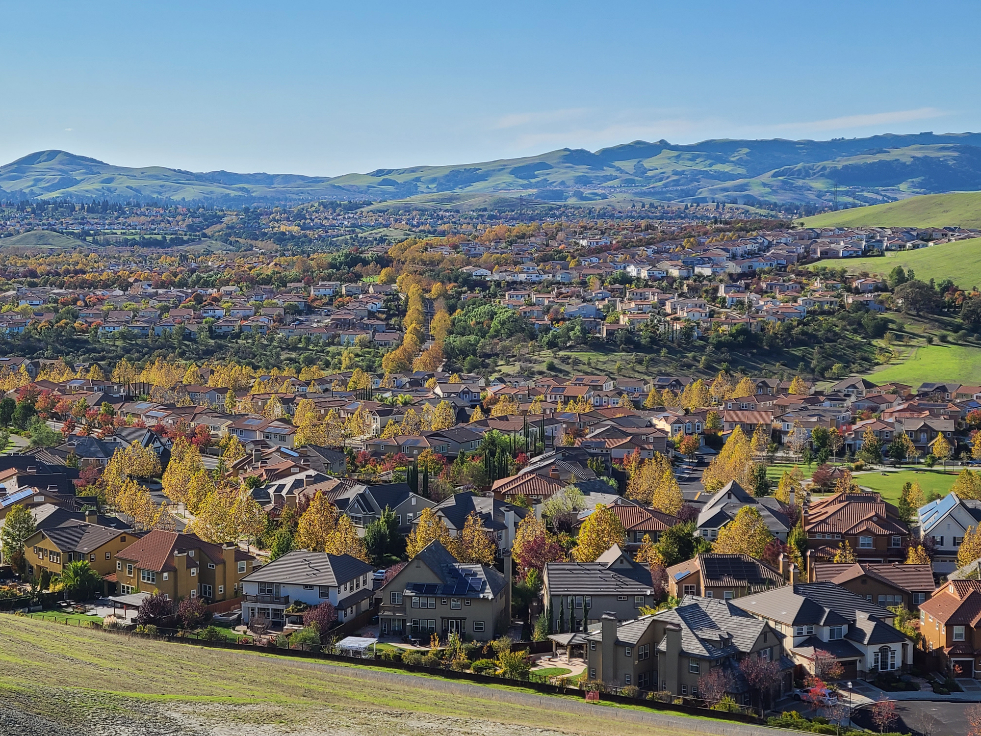 Fall colors in the San Ramon Valley