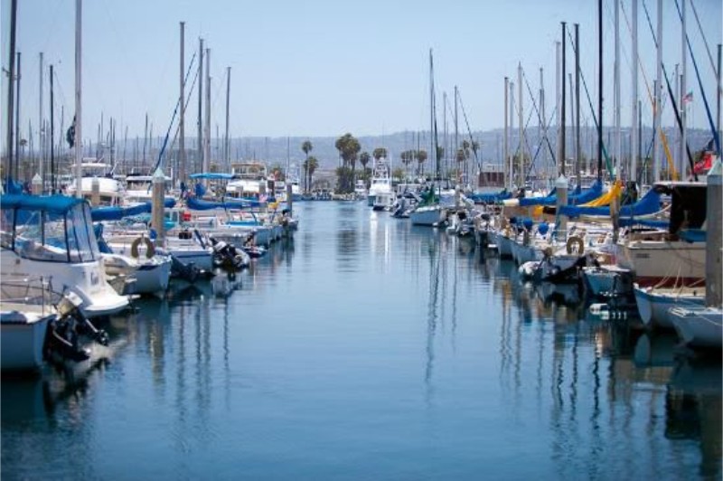 A serene marina scene with numerous boats lined along a calm waterway, surrounded by masts and palm trees under a clear blue sky.