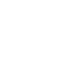 Alex Yankee