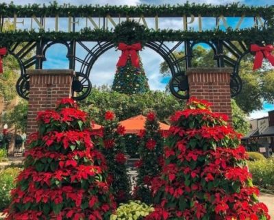 Winter Garden Holiday