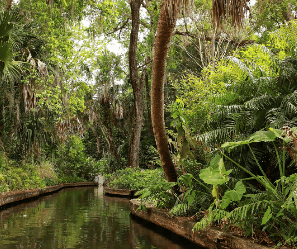 洋書  Is Where You Park It 洋書 Is Where You Park It This Parking Space Reserved Park