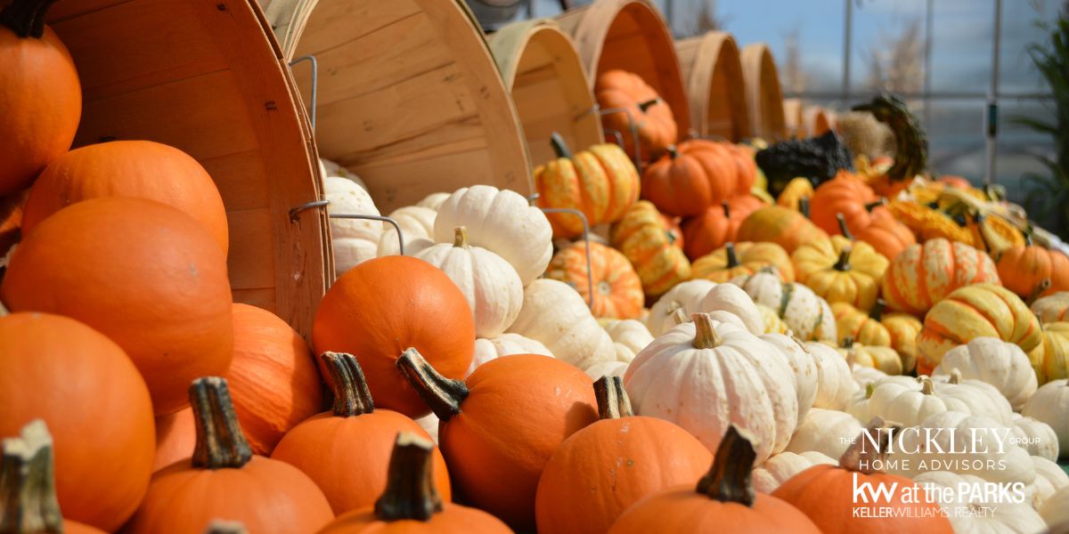Orlando Fall Festivals - Local Fun, Food, and Entertainment