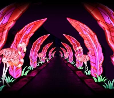 Asian Lantern Festival, holiday event orlando