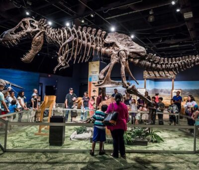 orlando science center, dinosaur, black friday, Orlando Science Center Black Friday