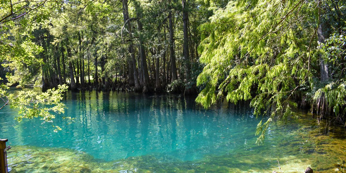 best springs in Florida