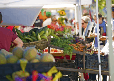things to do in tampa farmers market