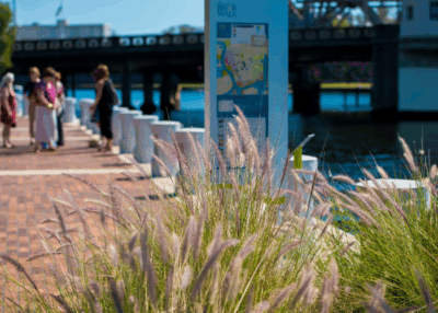 things to do in tampa tampa riverwalk
