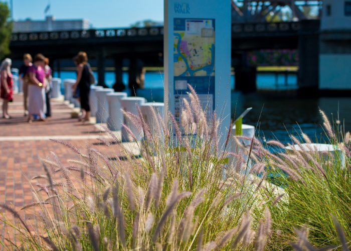 things to do in tampa tampa riverwalk