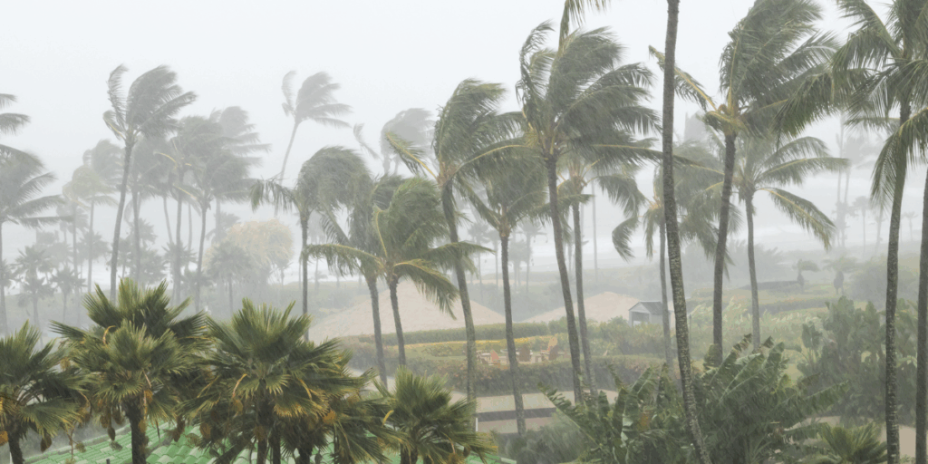 Preparing your home for hurricane season in Central Florida