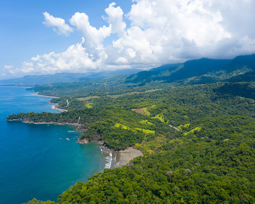 South Pacific