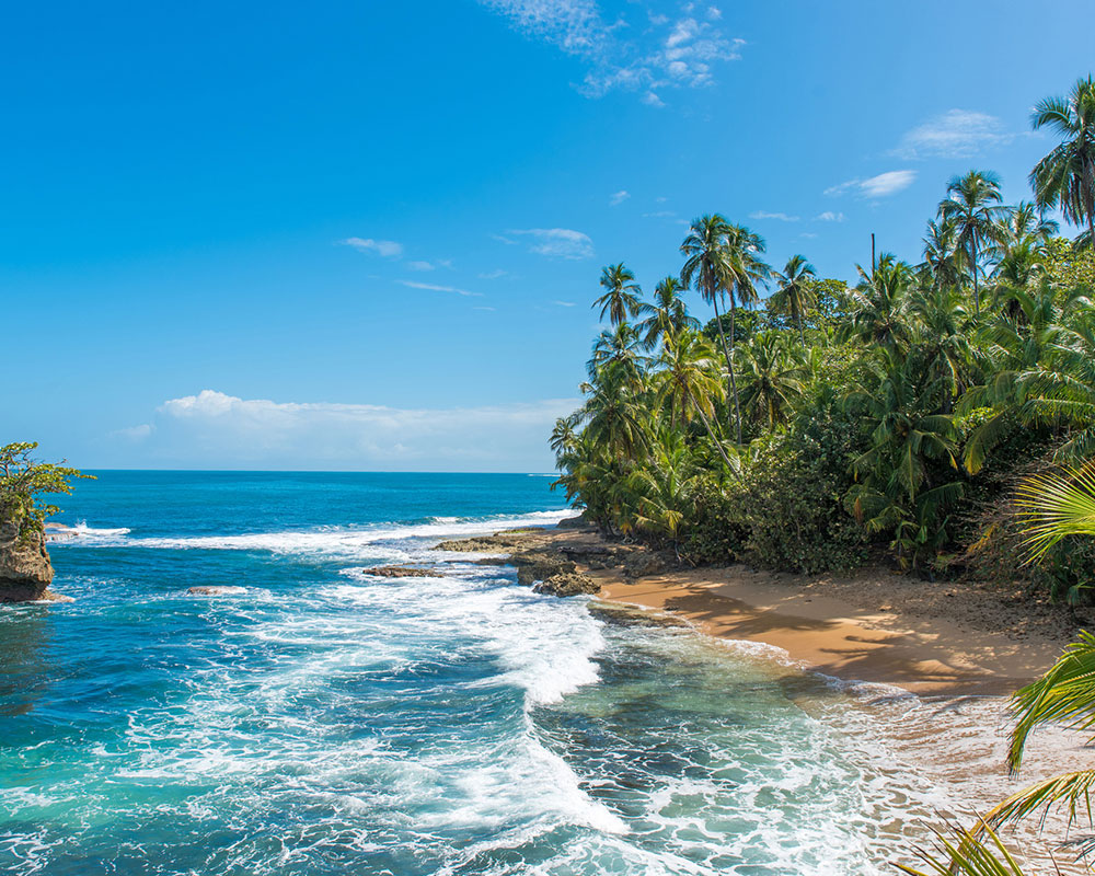 Caribbean