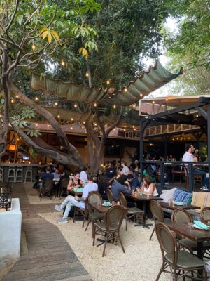 A beautiful dining patio with a tree growing in the center. People eating and enjoying the food in Bacari.
