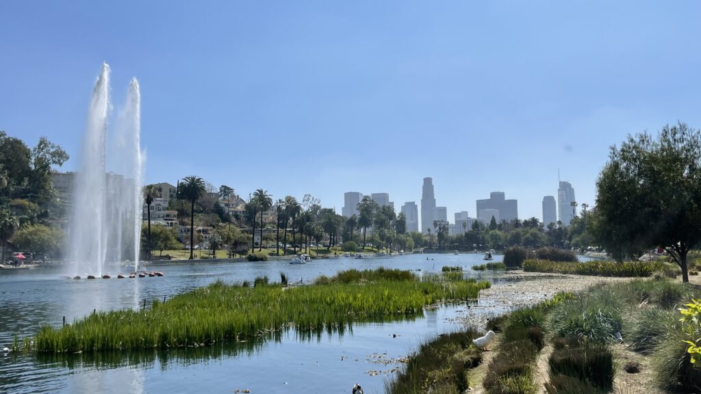 A picture of a lake with a fountain overlooking downtown with high rise buildings.