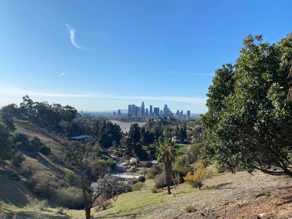 View of Downtown Los Angeles from Elysian Heights hiking trails.