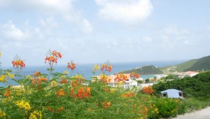 Parcel of Land For Sale, Ocean View Terrace, Dawn Beach, St Maarten Real Estate SXM