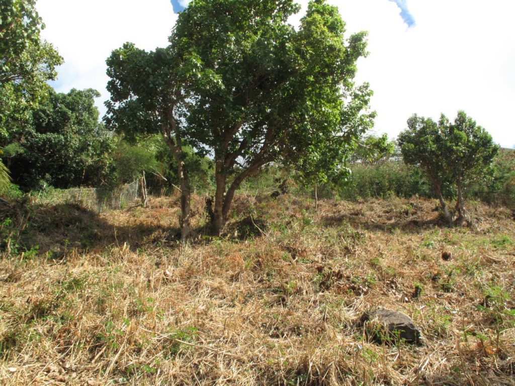 Almond Grove Plot of Residential land  zoned for a villa, St. Maarten, by SMI Realtors
