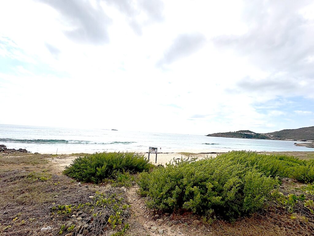 Real Estate Red Pond St Maarten Beachfront 18.8 acres