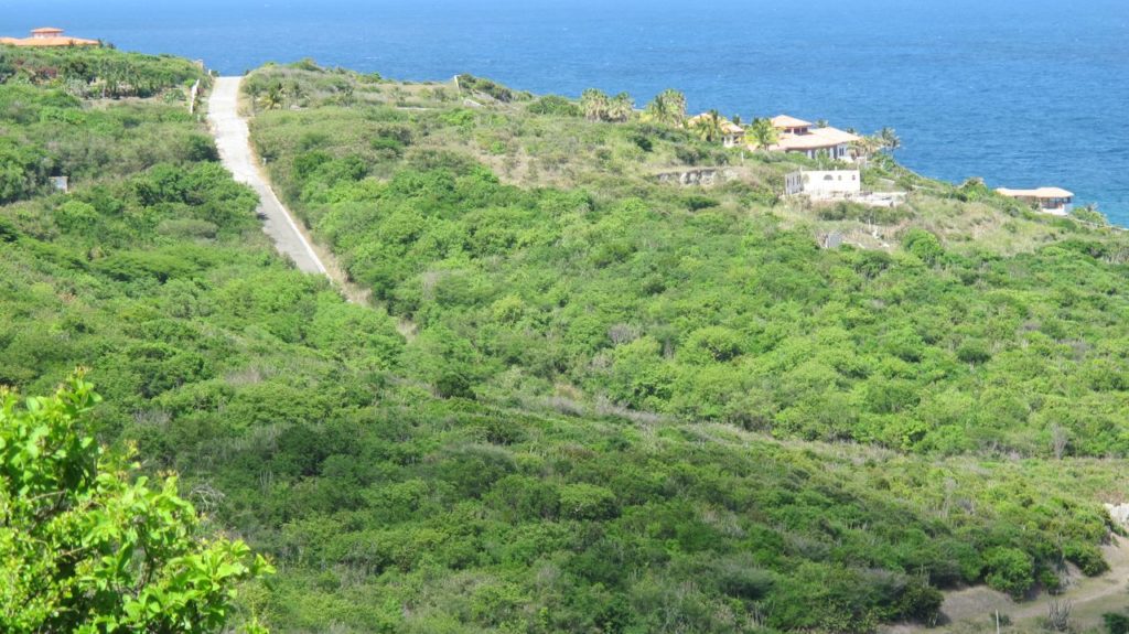 Real Estate Red Pond St Maarten Beachfront 18.8 acres