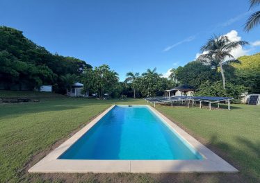 Long Lap Pool Citron Vert