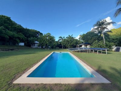 Long Lap Pool Citron Vert