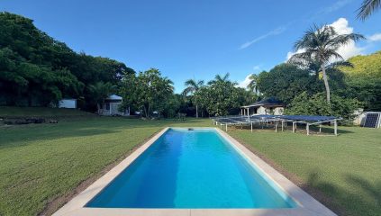 Long Lap Pool Citron Vert