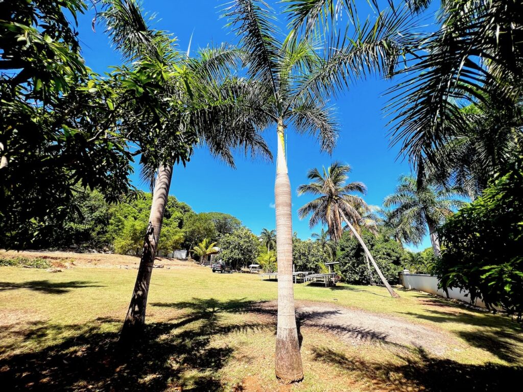 Real Estate Terres Basses St Martin, 4BR 4Baths Home – 10 minutes walk to  Plum Bay Beach