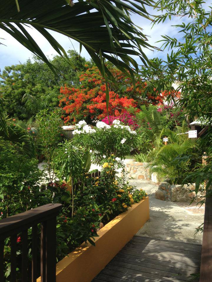 Guesthouse Creole Cottage SXM for sale, Orient Bay St Martin Commercial properties for sale, FWI