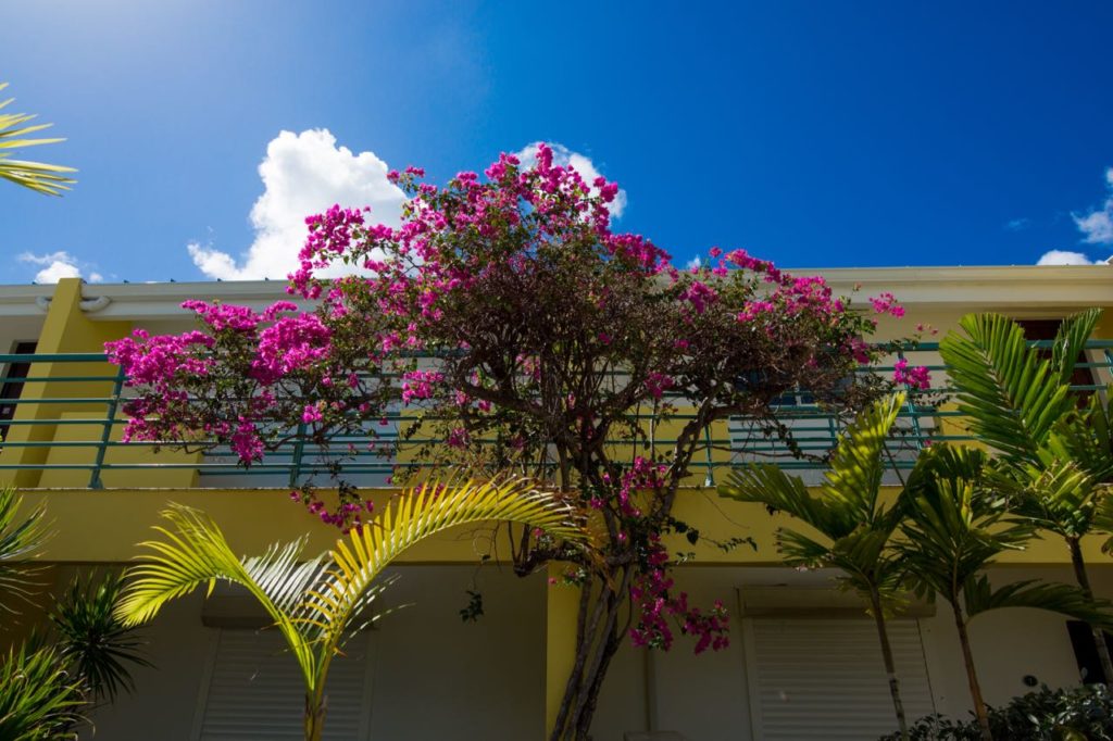 Atlantis Beachfront Condo, Real Estate For Rent, Simpson Bay, ST. Maarten