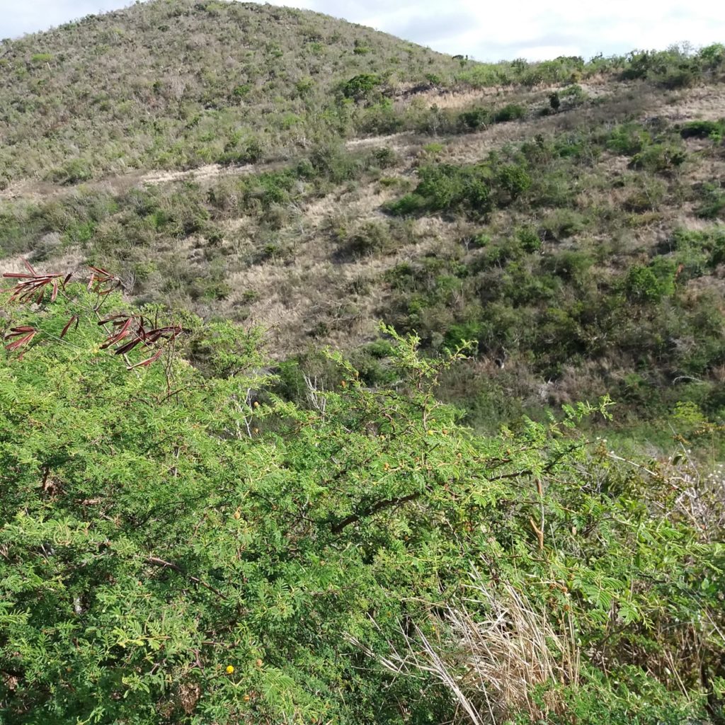 Land for Sale Philipsburg, Caribbean Properties Real Estate St. Maarten, SXM