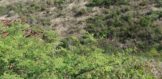 Parcel of Land for sale Philipsburg, Real Estate St. Maarten