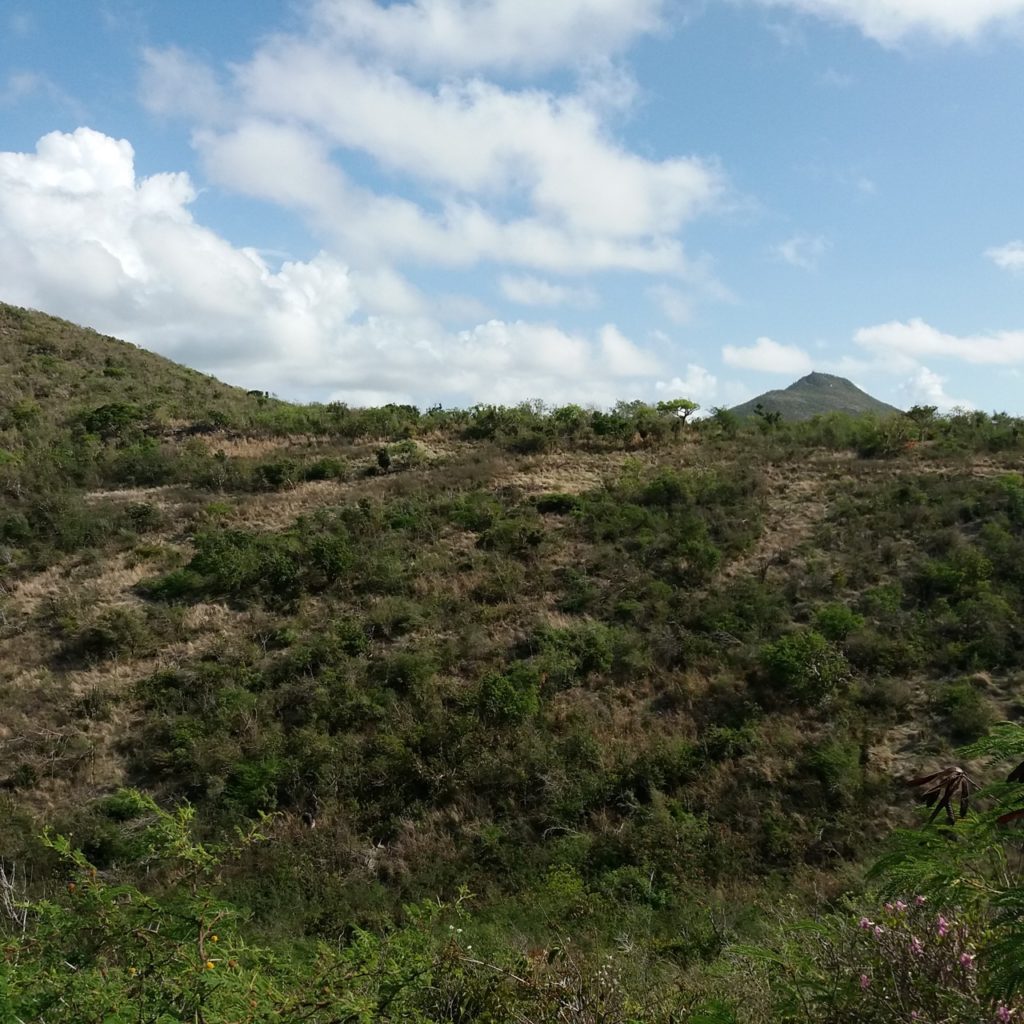 Land for Sale Philipsburg, Caribbean Properties Real Estate St. Maarten, SXM
