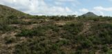 Parcel of Land for sale Philipsburg, Real Estate St. Maarten